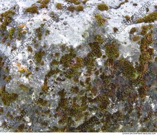 Rock Mossy 0001